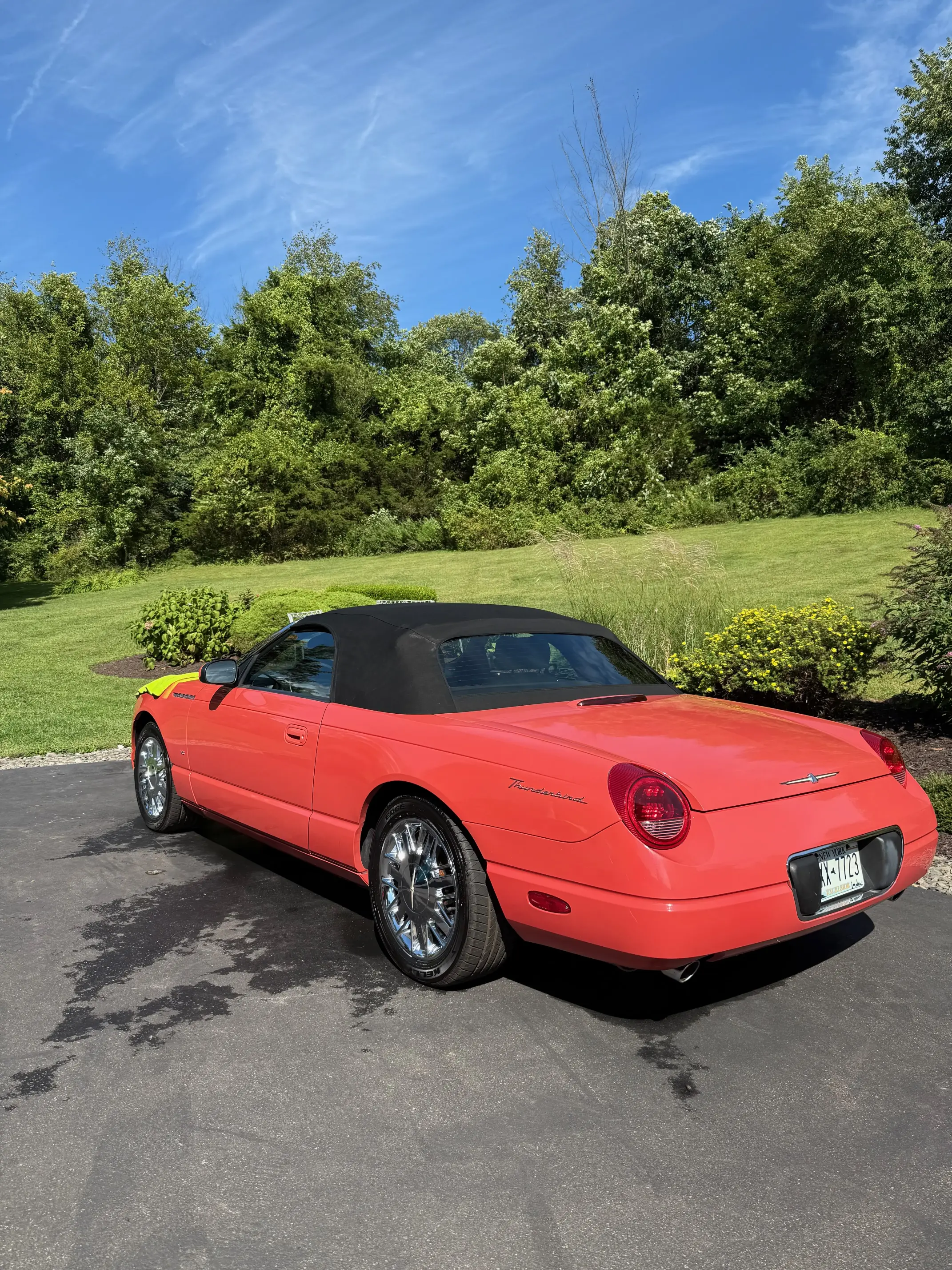 M&L Detail gallery image 10