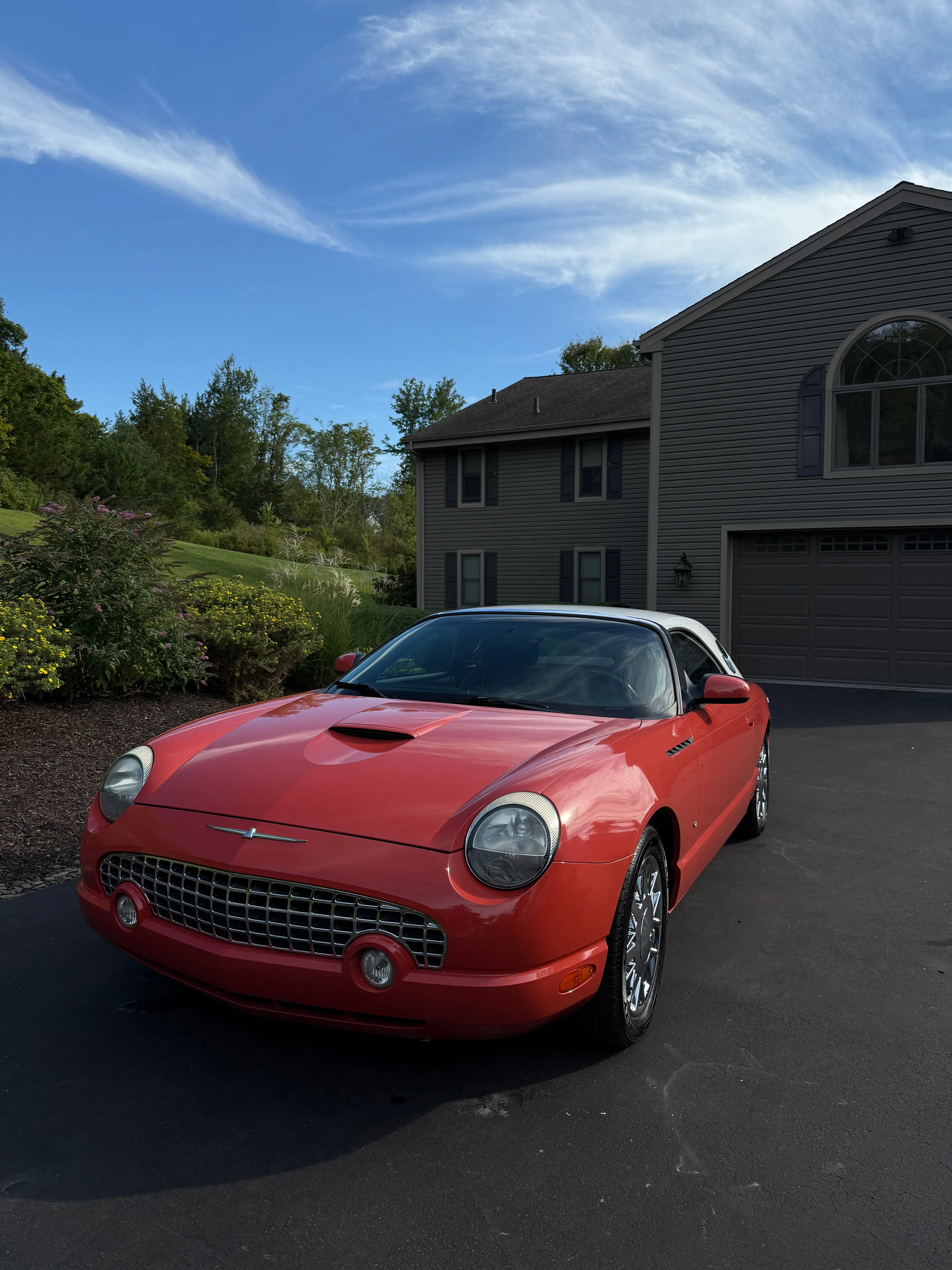 M&L Detail gallery image 41