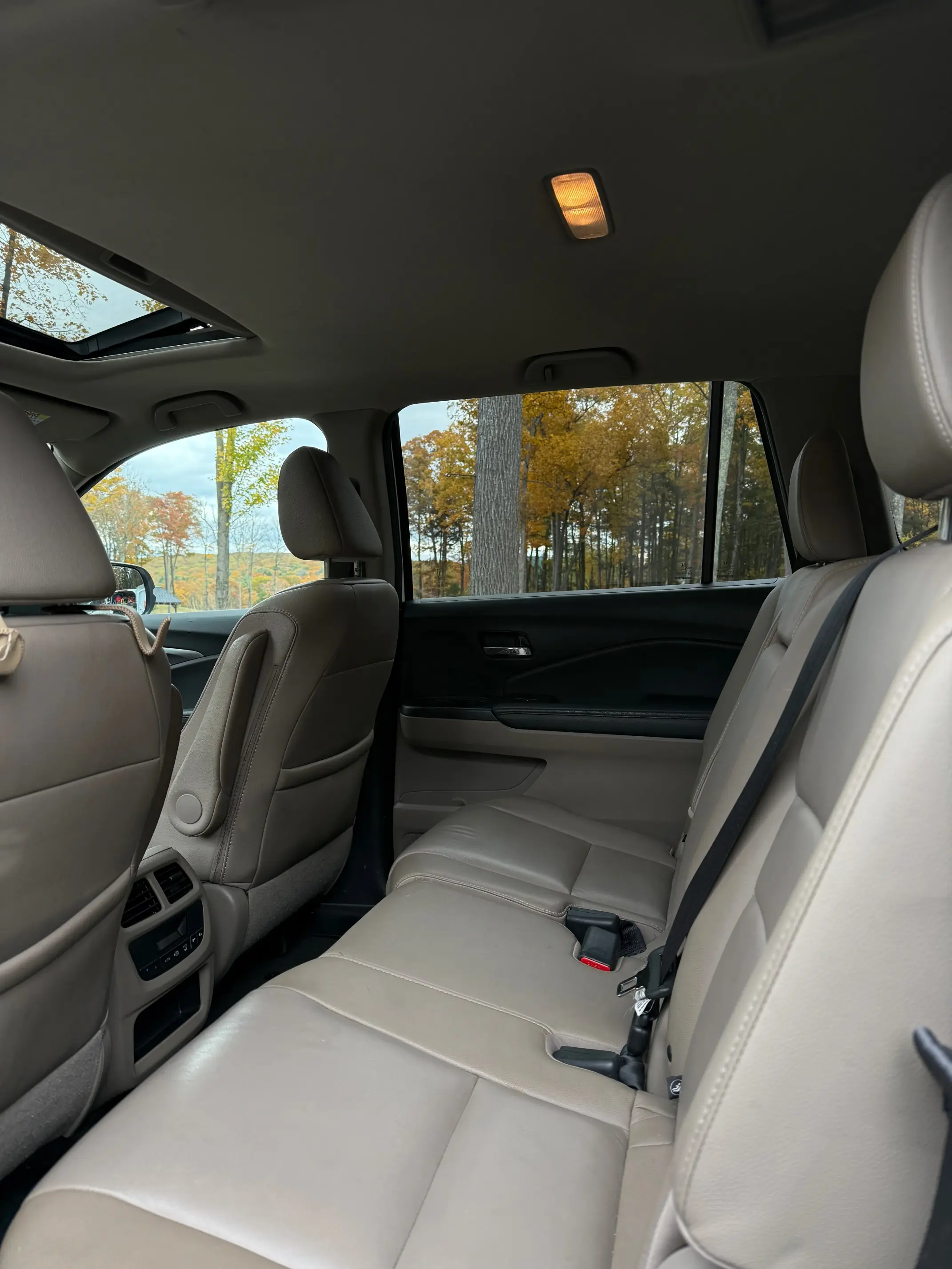 M&L Detail gallery image 32