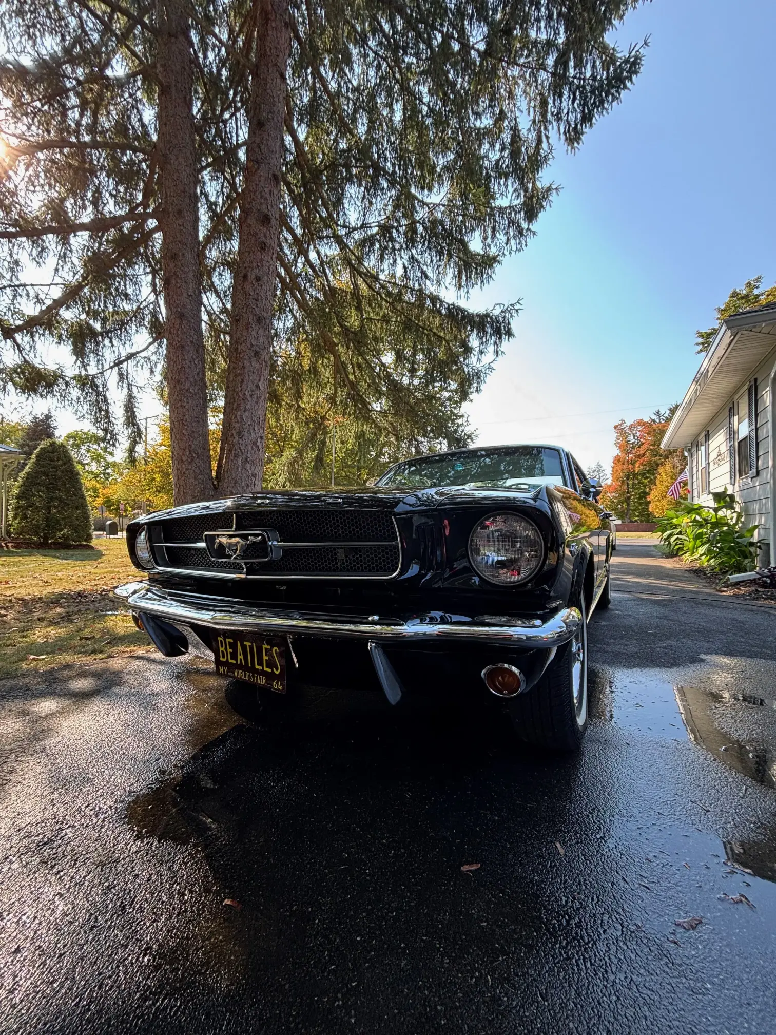 M&L Detail gallery image 42