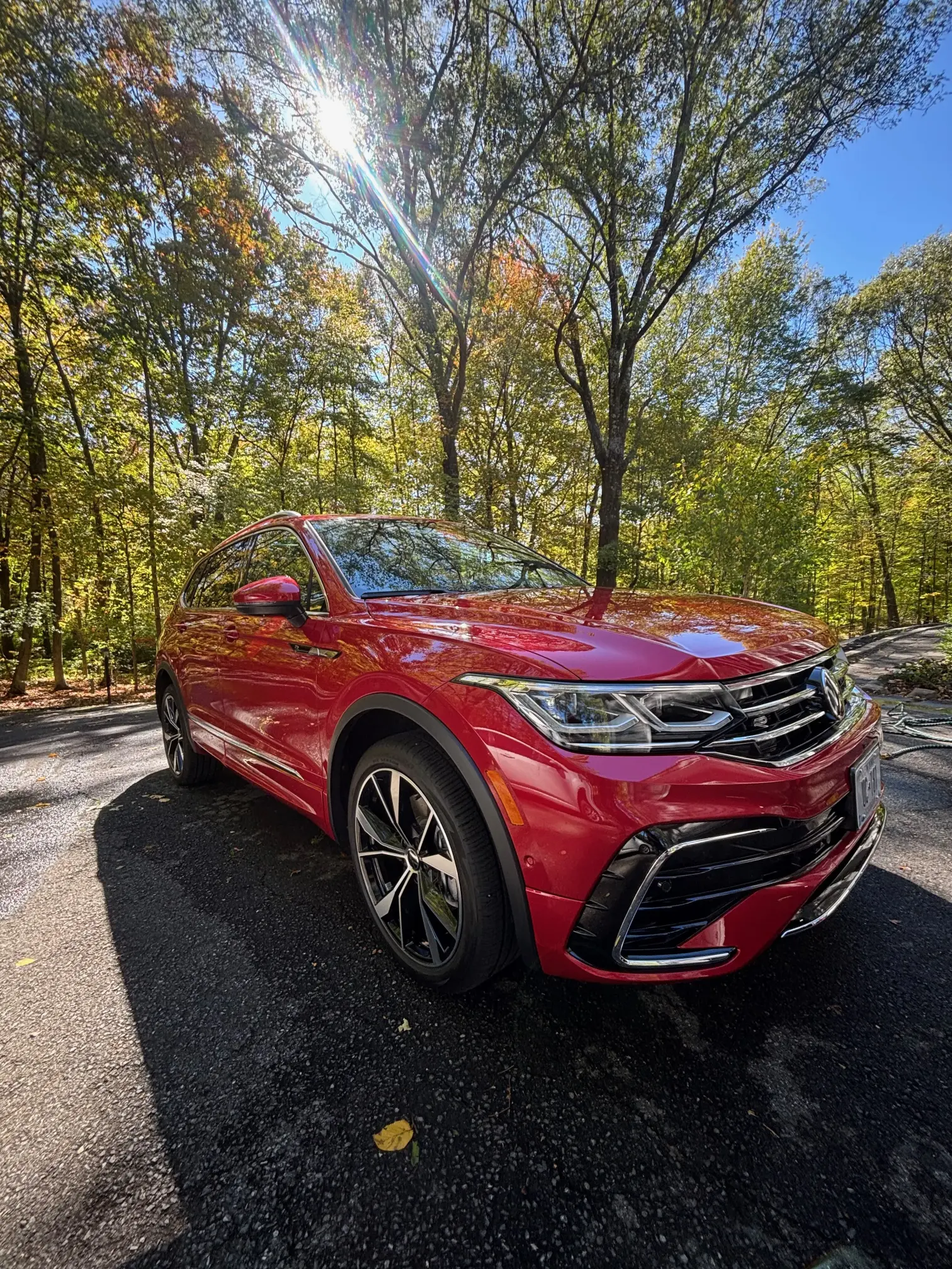 M&L Detail gallery image 27