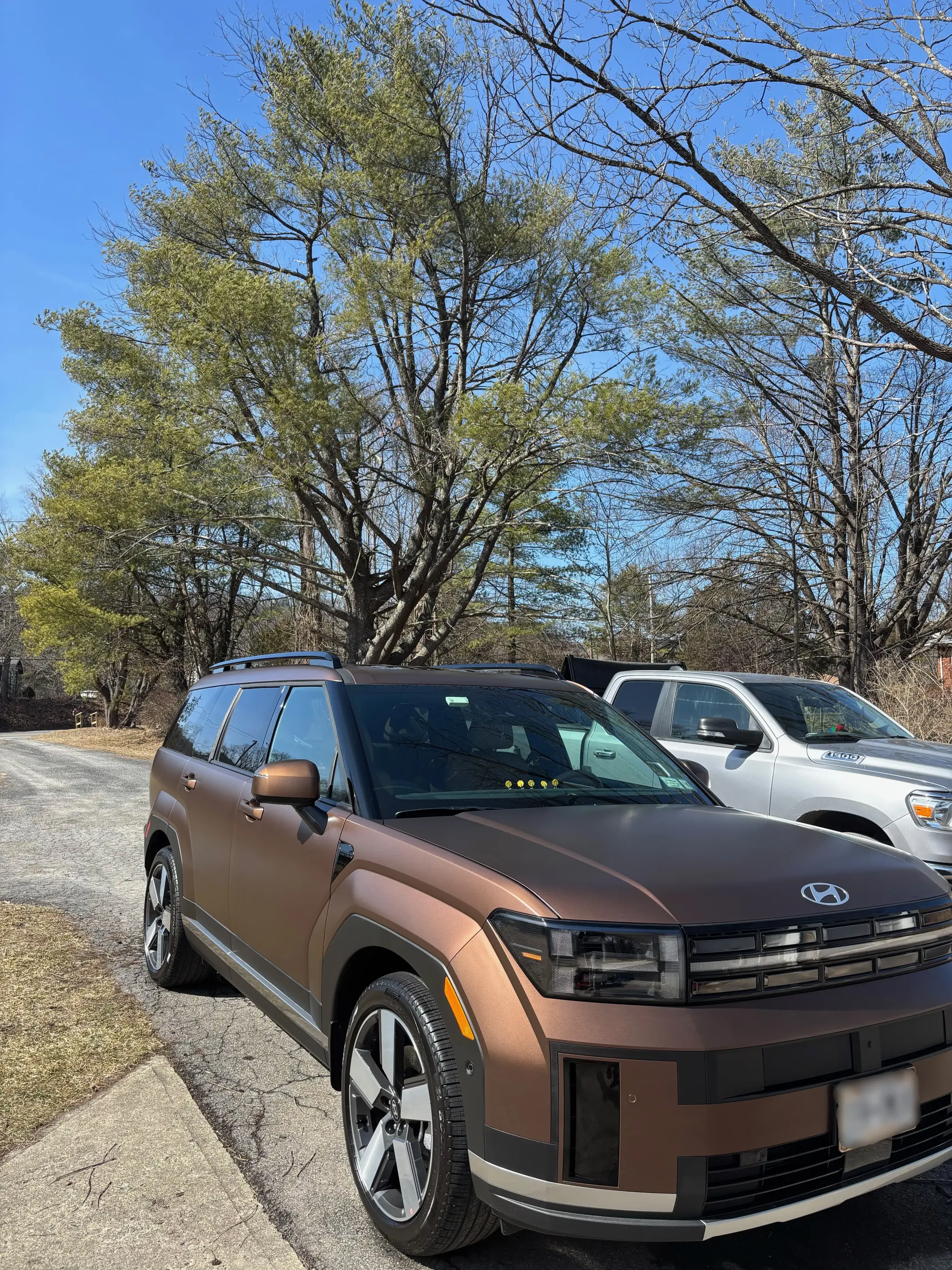 M&L Detail gallery image 18