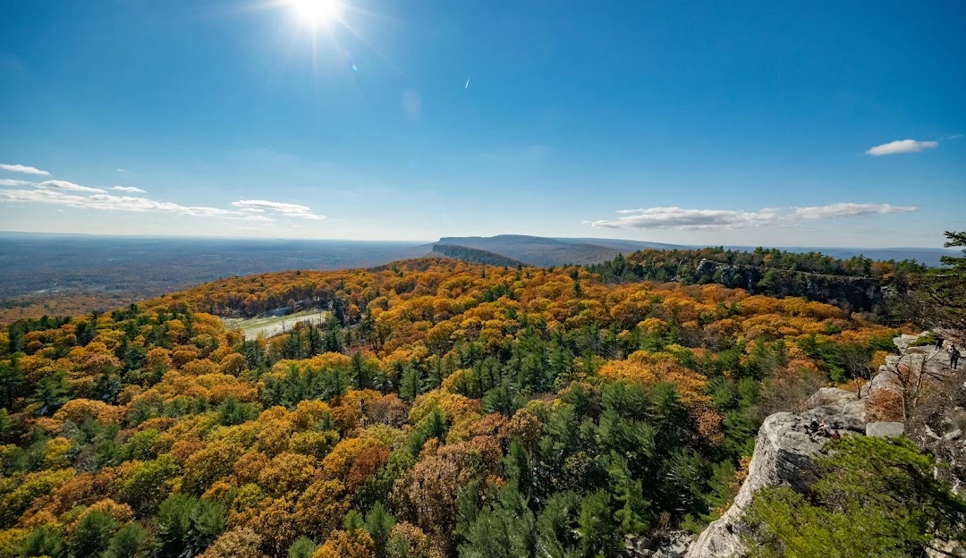 New Paltz detail example